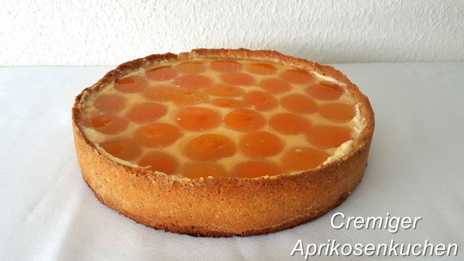 Aprikosen-Kuchen
